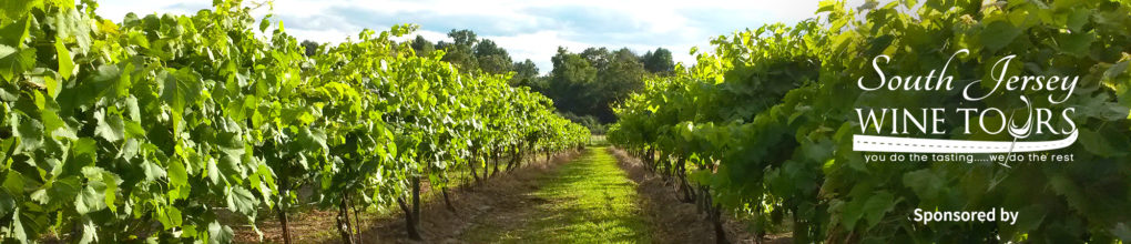 south jersey winery tours