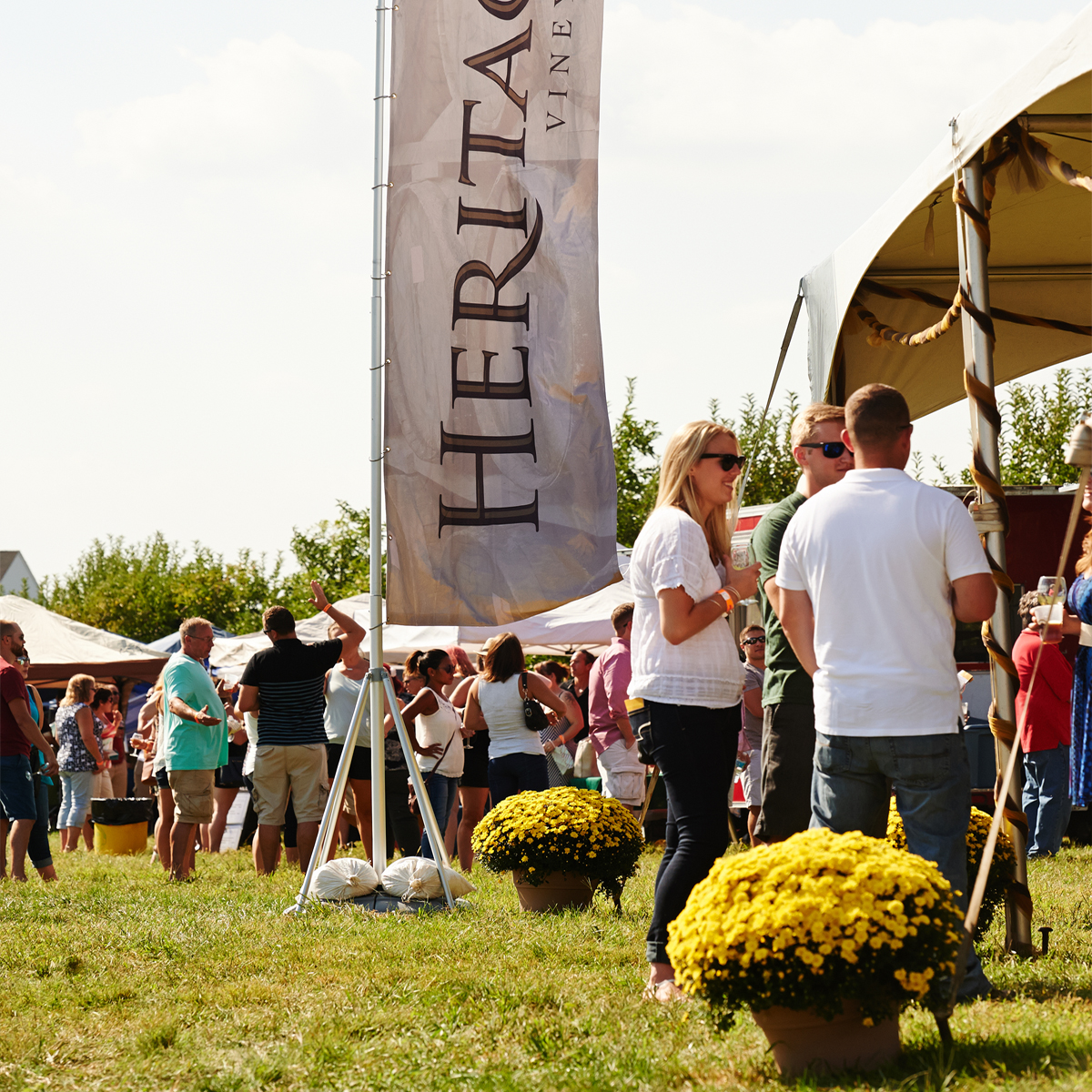 7 Can’t Miss Fall Wine Festivals in South Jersey